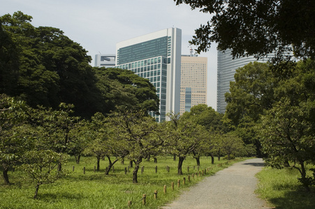 东京公园