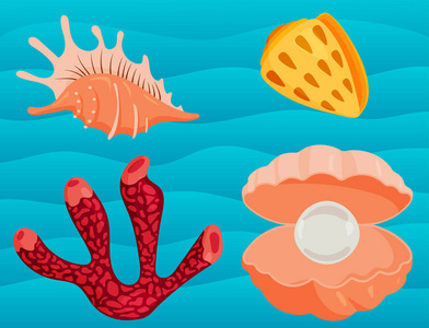 海贝壳海洋卡通蛤壳和海洋海星珊瑚矢量图
