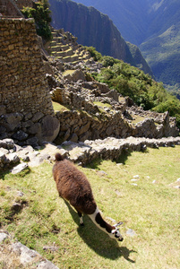 Machu Picchu山峰风景照片