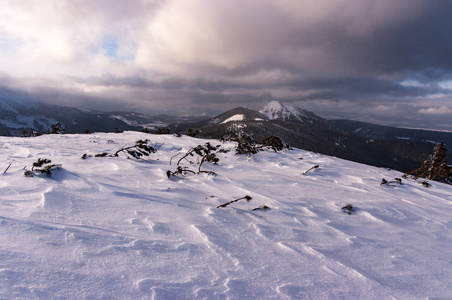 暴风雪期间的冬山风光。西 Tatra 群山