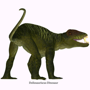 Doliosauriscus 恐龙尾巴与字体