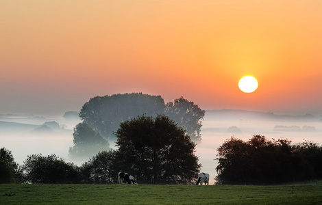 东方日出日出(时分),黎明  诗>日出的地方,东方照片