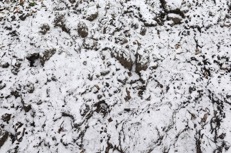 地面的质地, 覆盖着薄薄的一层雪。冬天花园的土壤。挖地关闭