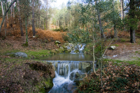 河水 江水