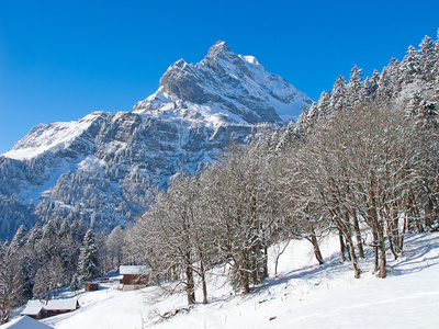 滑雪坡