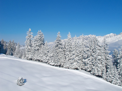 滑雪坡