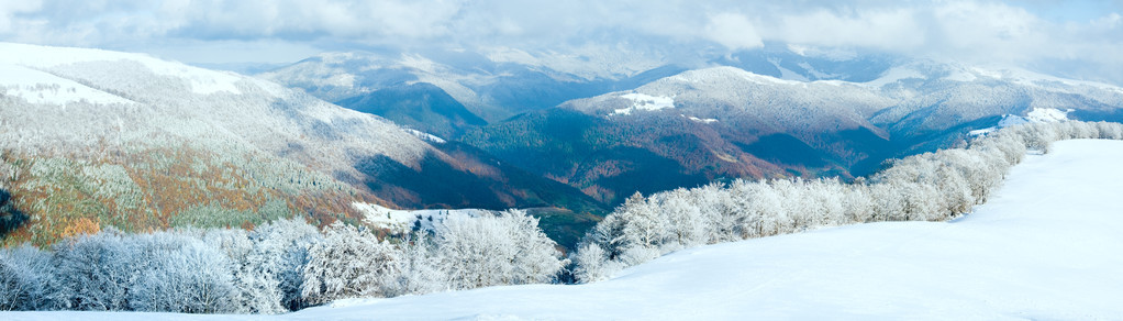 第一冬雪和山毛榉林