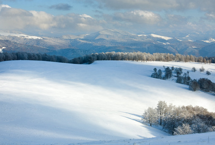 第一冬雪和山毛榉林