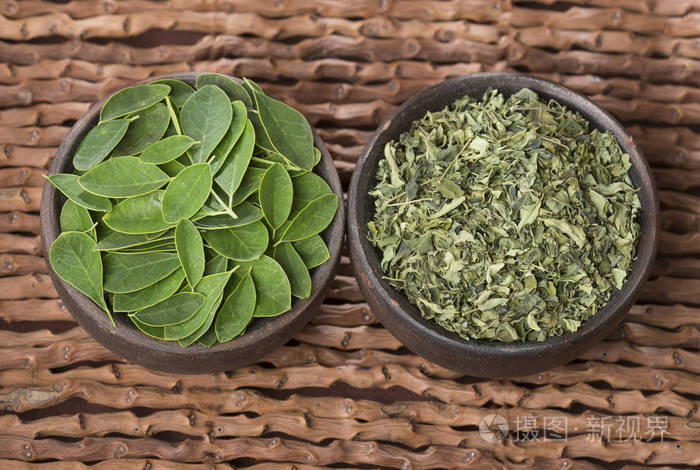 新鲜干燥的辣木叶子辣木