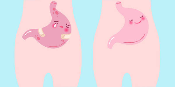 可爱的卡通胃照片