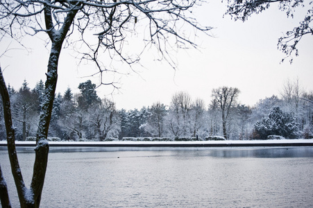 冬季湖泊景观