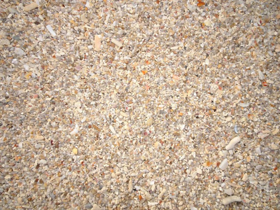 贝壳仍然是珊瑚小石头和沙子