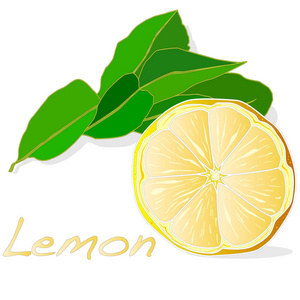 柠檬水果插图集锦图片