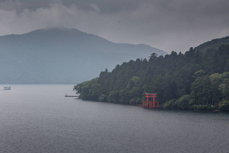 夏季日本森林