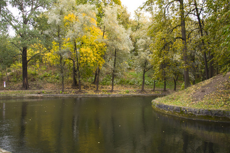 秋天公园池塘里的小岛