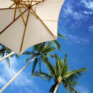 热带蓝天上的阳伞和棕榈树图片