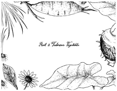 雪莲果根图片-雪莲果根素材-雪莲果根插画-摄图新视界