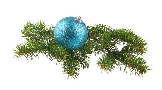 白色 backgro 的蓝球和圣诞树的树枝