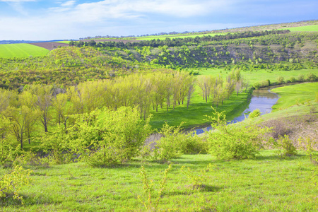 春天自然风景与河和绿色领域