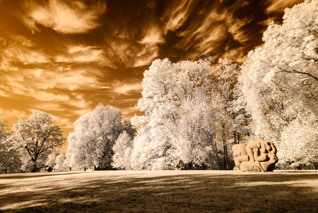 在卡波锡古尔达，拉脱维亚公共公园景观。红外图像