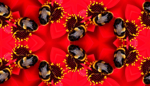 蜜蜂在花朵上的无缝图案
