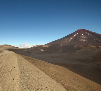 Lonquimay 火山, 在生物生物区域, 智利