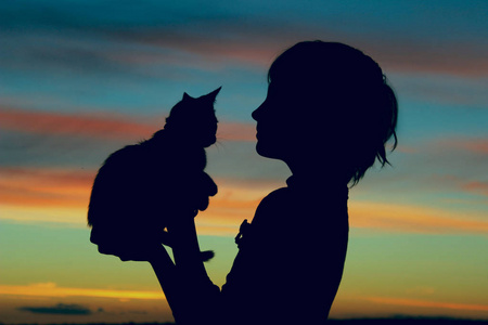 裁剪后的拍摄的可爱的小女孩，在日落时的小猫