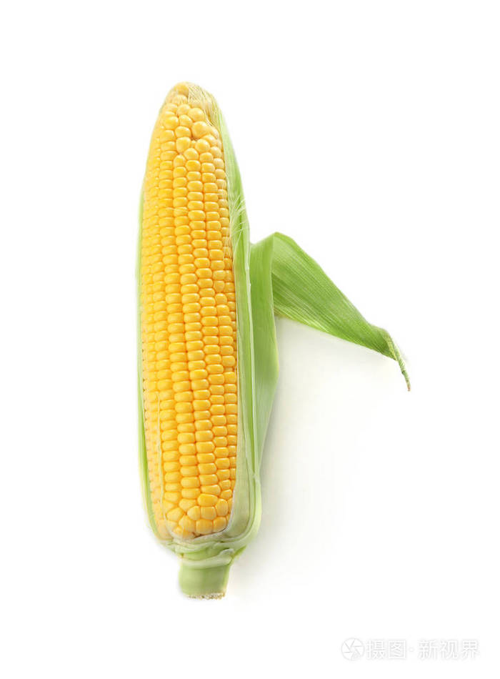 白色背景上的成熟的玉米棒