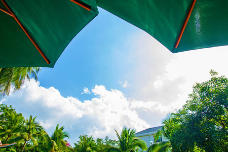 高, 美丽的棕榈树 rostut 池畔, 周围的豪华酒店。亚洲热带