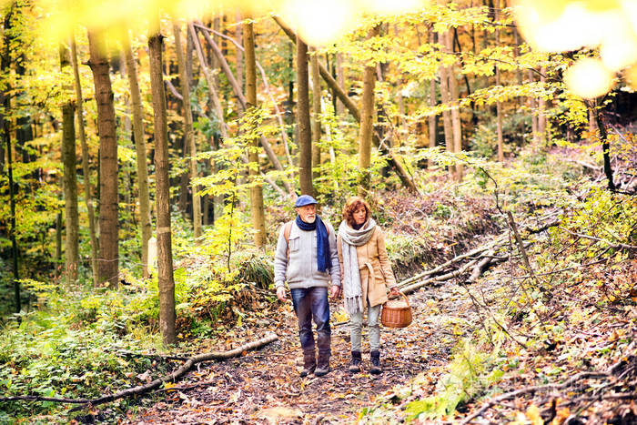 在秋天森林漫步的资深夫妇