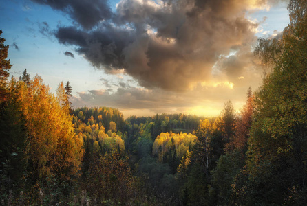 秋天的森林日落时