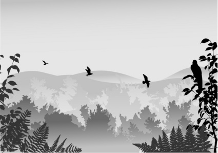 灰色森林和鸟在天空图图片