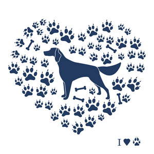 宠物骨骼在狗的轨迹和骨骼的背景下二传手剪影照片