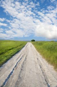 绿色草地的道路