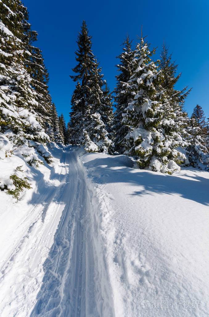 波兰gorce山脉冬季景观中的雪路