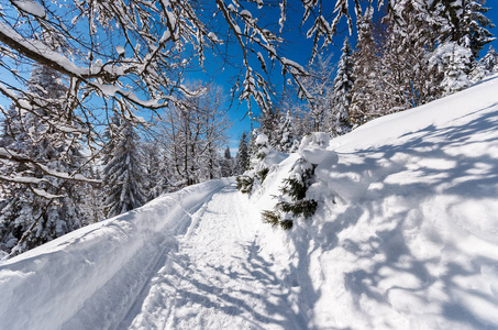 波兰 Gorce 山脉冬季景观中的雪路