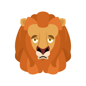 狮子伤心表情脸头像。野兽的悲哀情绪。双