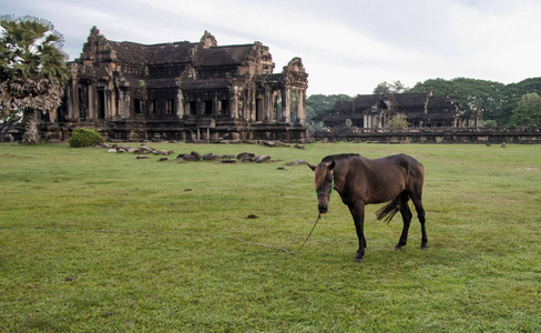 古图书馆在吴哥窟寺和马的前面, 柬埔寨