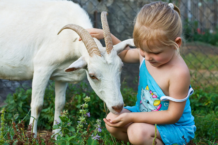 小女孩在玩山羊