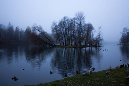 10月底, 晨雾, Gatchina, 列宁格勒地区