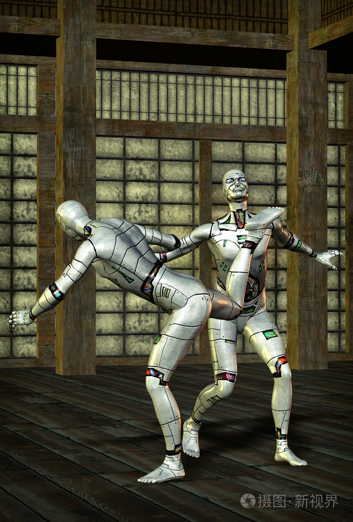 武术机器人功夫