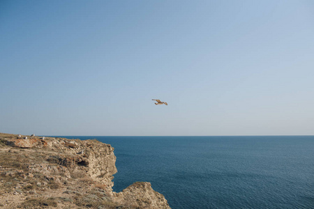 美丽的夏日海景和岩石