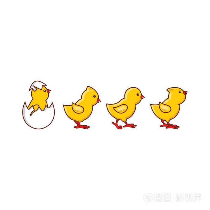 矢量扁可爱小鸡孵化