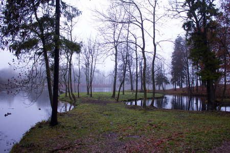 10月底, 晨雾, Gatchina, 列宁格勒地区