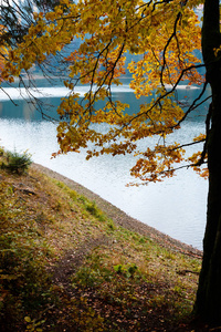Synevyr 湖秋景