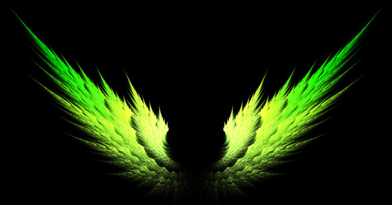绿色的翅膀图片