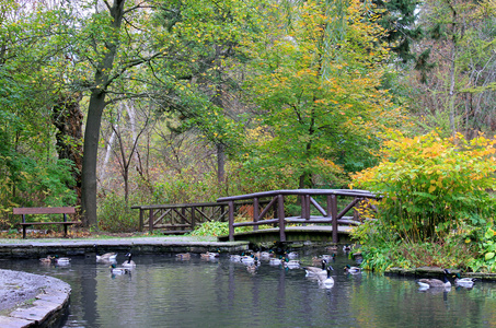 秋天公园的桥和湖