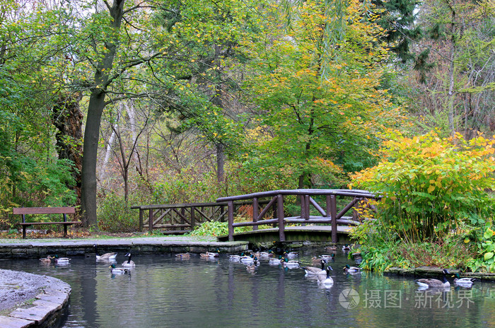 秋天公园的桥和湖