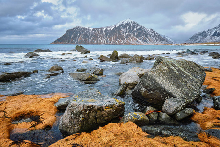 在挪威的峡湾的岩石海岸