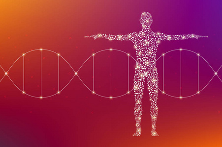 用分子 Dna 抽象人体。医药科技理念。图